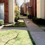 Dove Hollow Apartments View