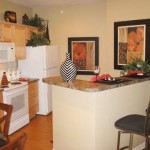 Lansbrook at Twin Creeks Apartments Interior