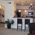 Auberry at Twin Creeks Apartment Living Room