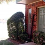 Bethany Apartment View 6