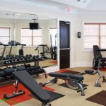 Delayne At Twin Creeks Apartment Fitness Center
