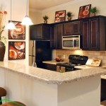 Delayne At Twin Creeks Apartment Kitchen