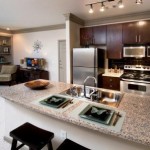 Heights at Allen Station Apartment Kitchen 2