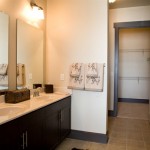 Lofts At Watters Creek I & II Apartment Bathroom