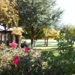 Settlers Gate Apartment Garden