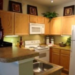 Settlers Gate Apartment Kitchen