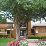 Wyndsor Court Apartment Garden